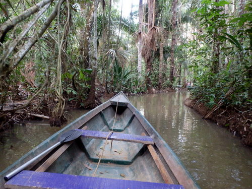 Our Guide is maneuvering the craft through a water channel.